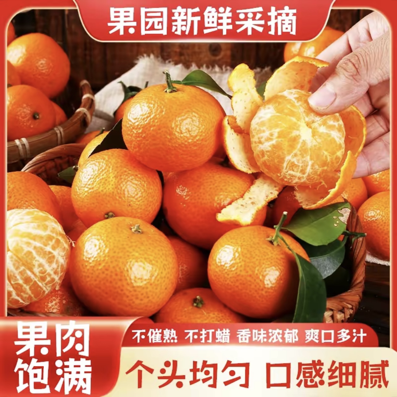 正宗广西沙糖橘老沙新鲜现摘当季水果皮薄爆甜多汁