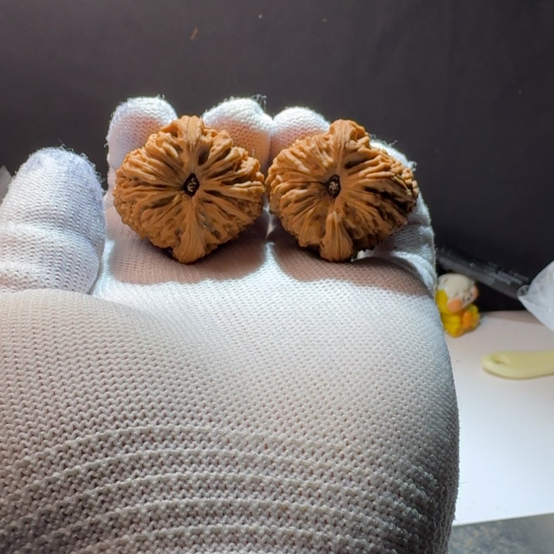 心***！文玩核桃把件14号链接拉丝手捻35-35-36