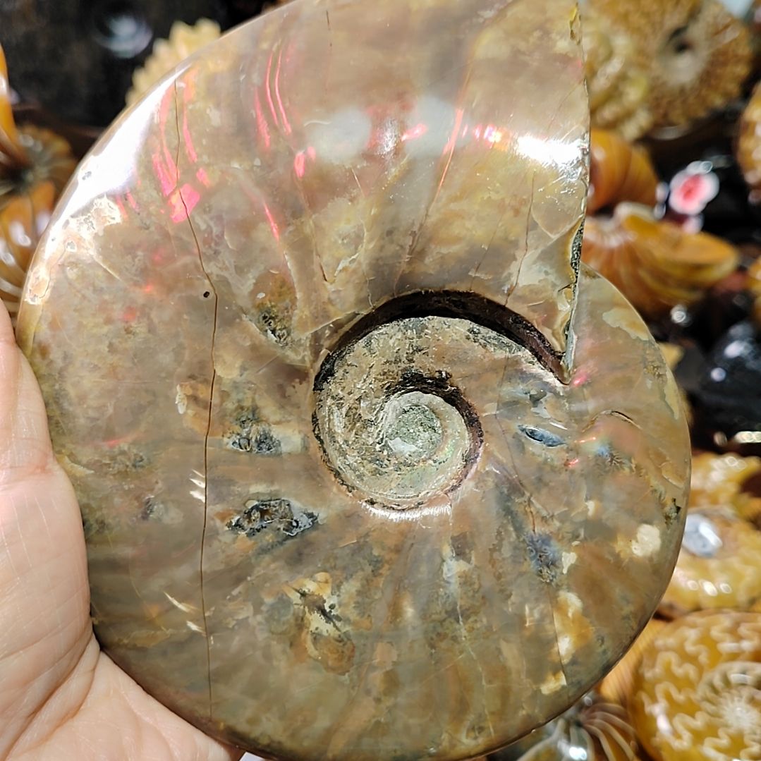 张***华有机玻璃123456789000