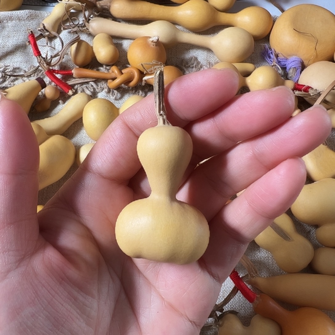 漂亮漂亮漂亮漂亮漂亮