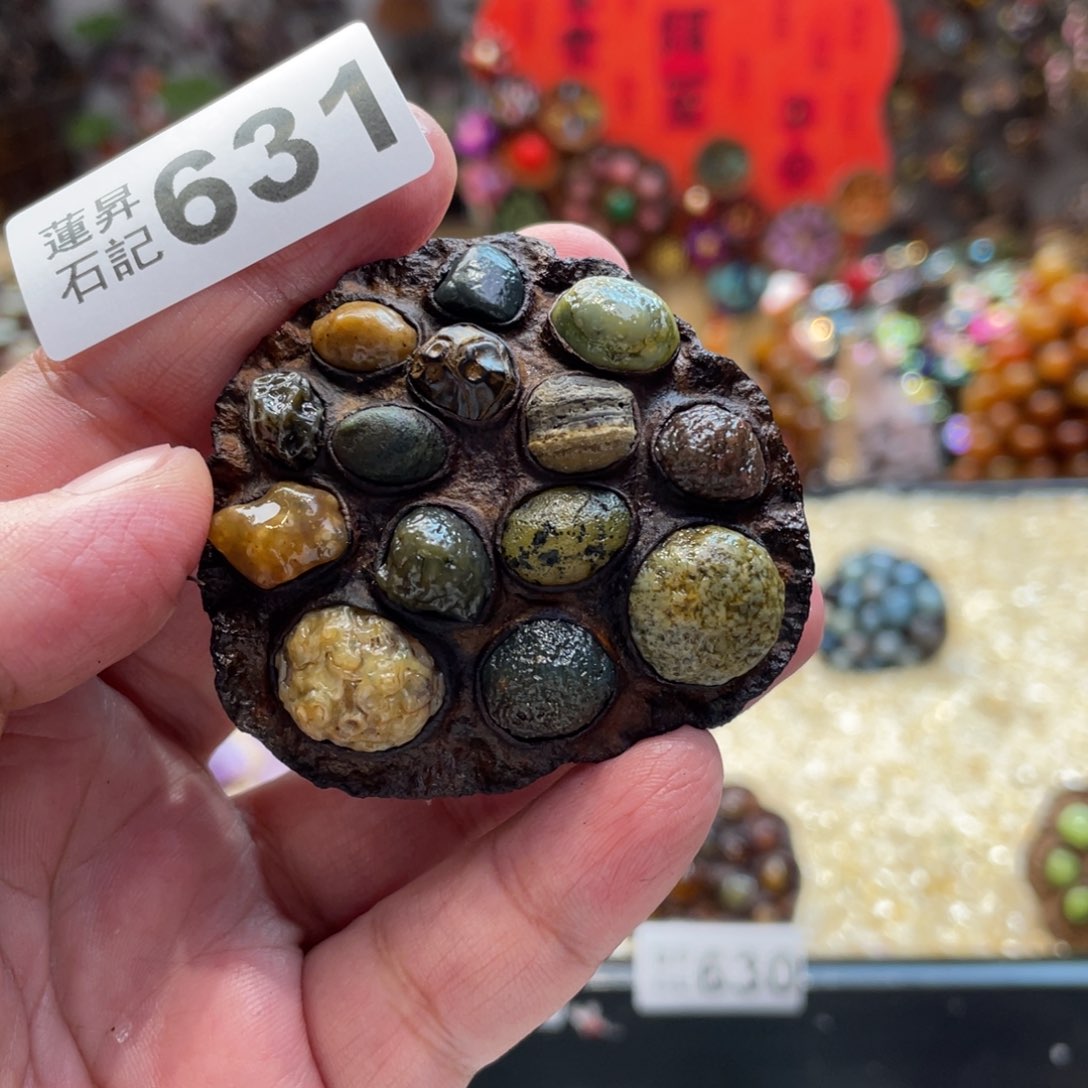 核桃木/黑胡桃（胡桃木）631