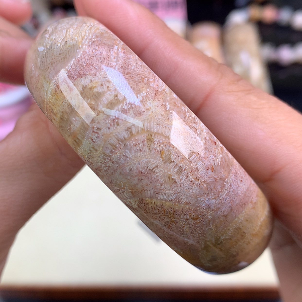 【闪购商品】颈饰未镶嵌硅化珊瑚（珊瑚玉）24号精美虫57.7圈