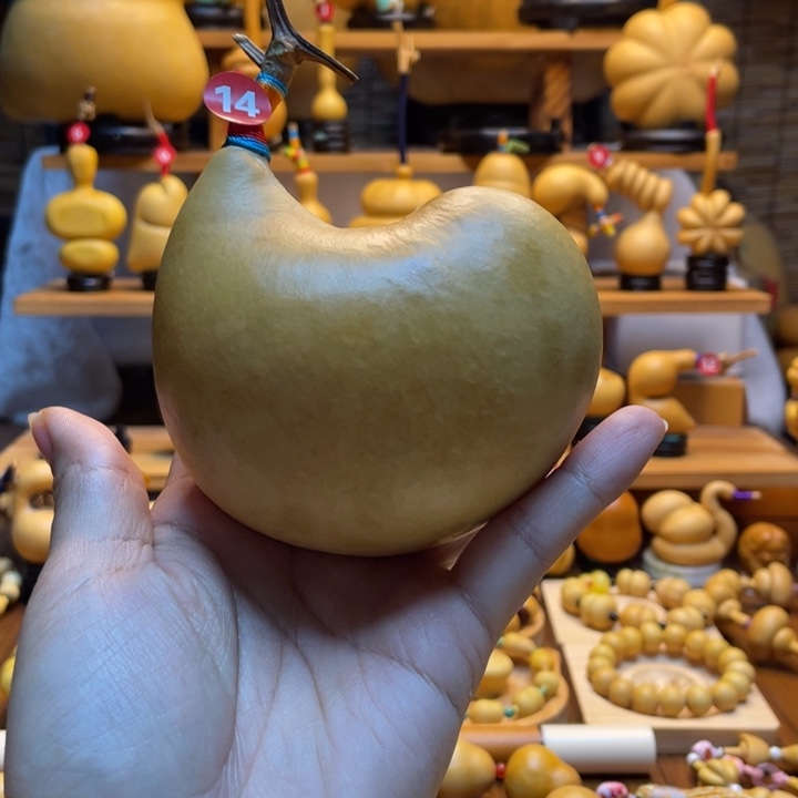 弧***虹天然葫芦自然生长