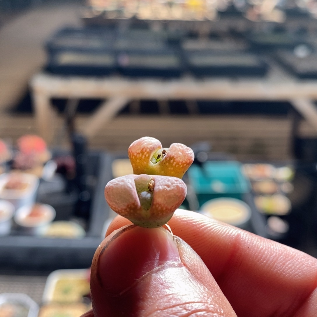 13169一个一个一个