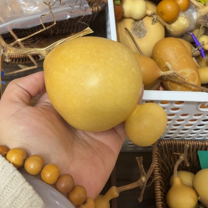 *****竹类炮头胖头鱼葫芦