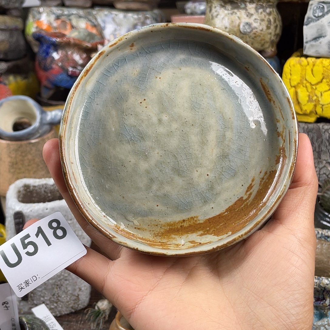 默认微次 元旦福利 坛子姐花盆