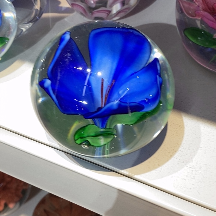 琉璃微瑕686555556689