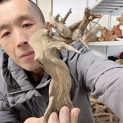 【闪购商品】柏木（崖柏）9