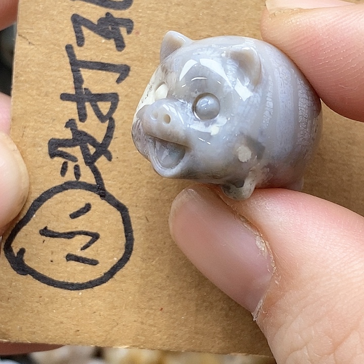 颈饰未镶嵌硅化珊瑚（珊瑚玉）