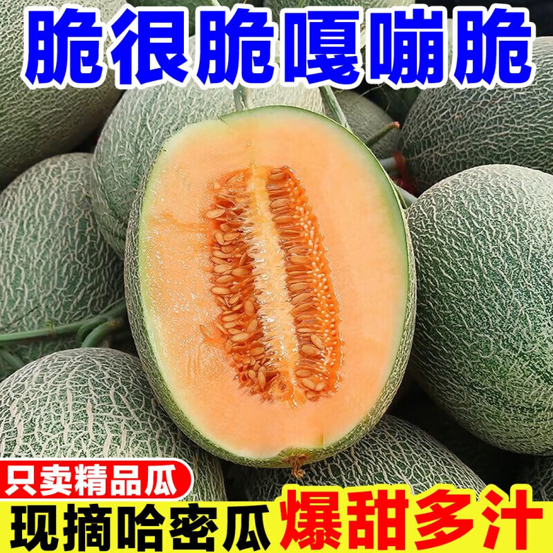 【EMS空运】正宗新疆火焰山哈密瓜清香甜蜜爆甜多汁