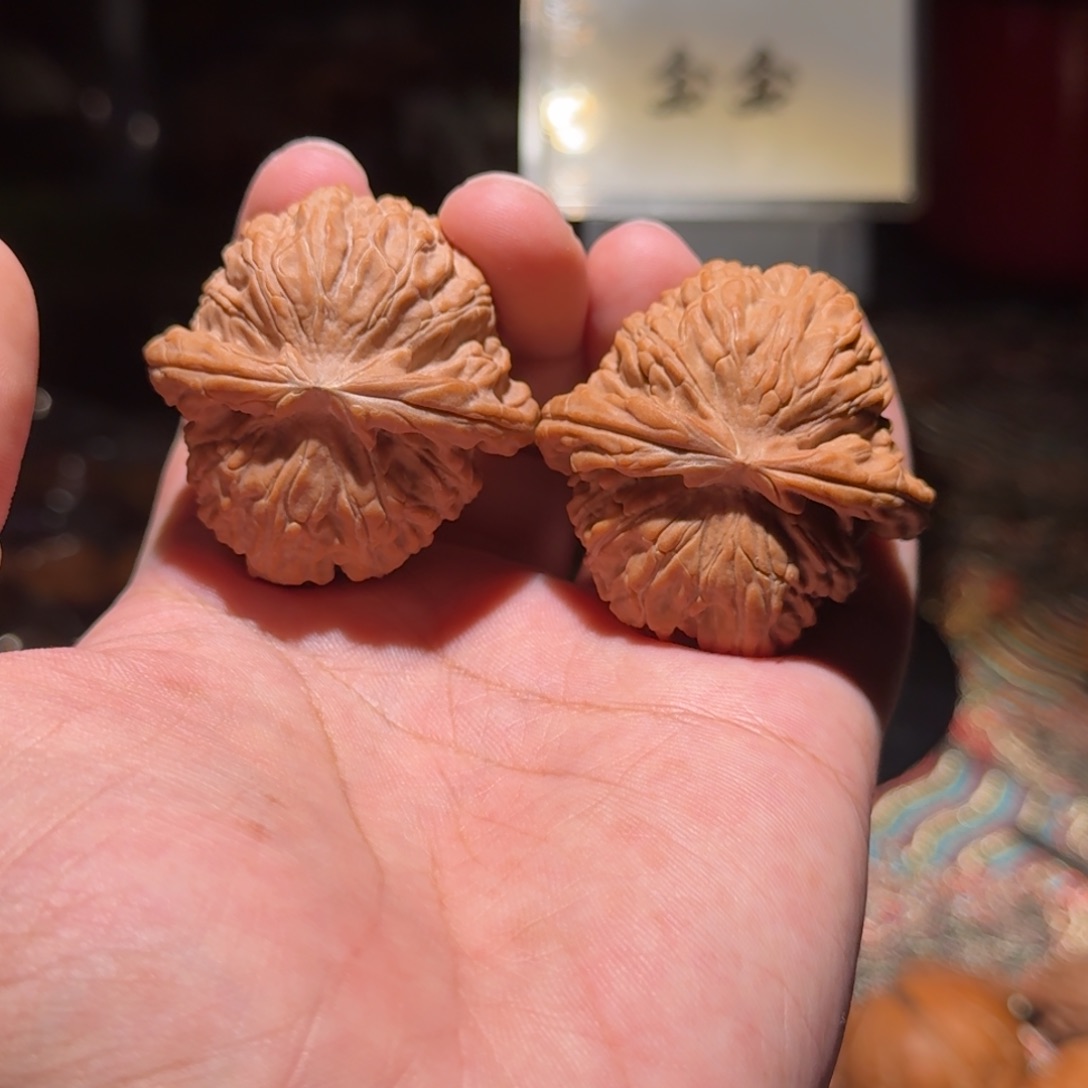 把件核桃1428闷白，尺寸43
