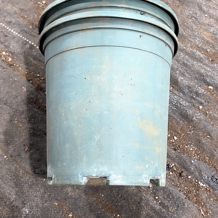 塑料口径20高度20绿加仑一组5个