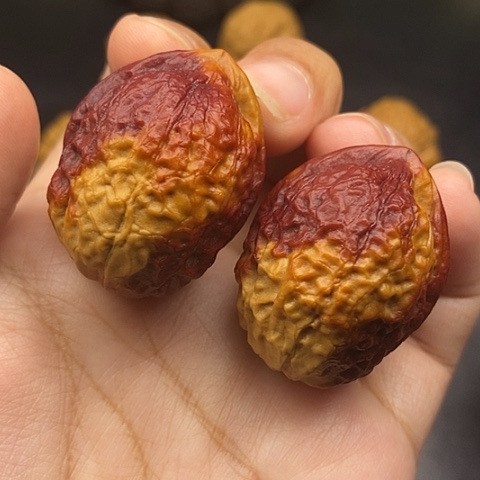 文玩核桃把件36尺蟒纹龙蛋