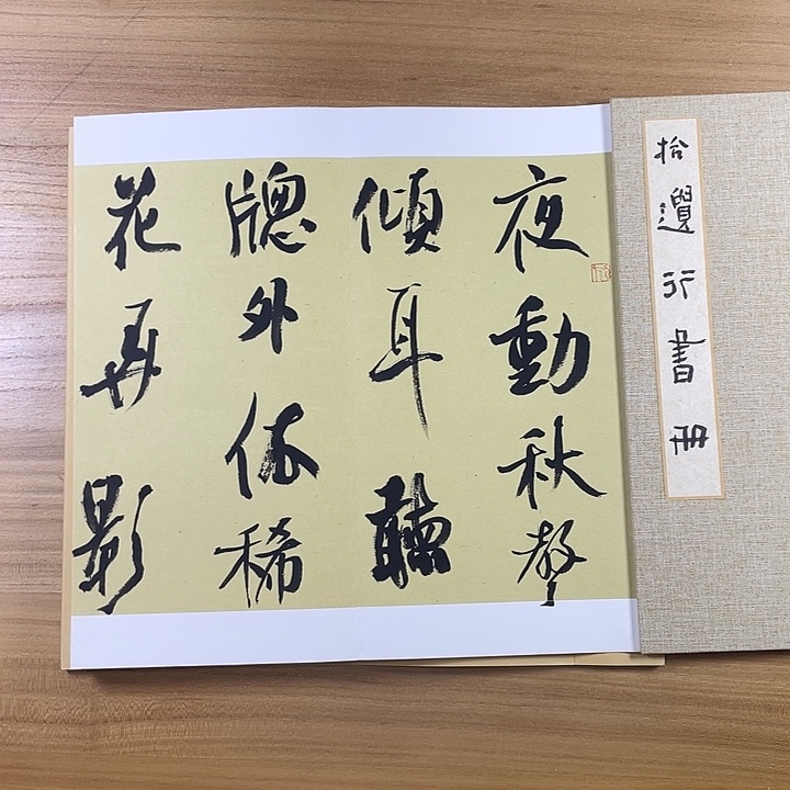书法中书协老师作品