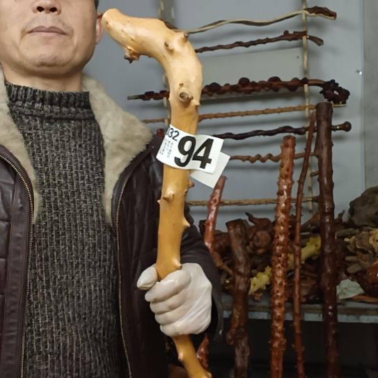 平***1香榧木高山 檬子木文玩料