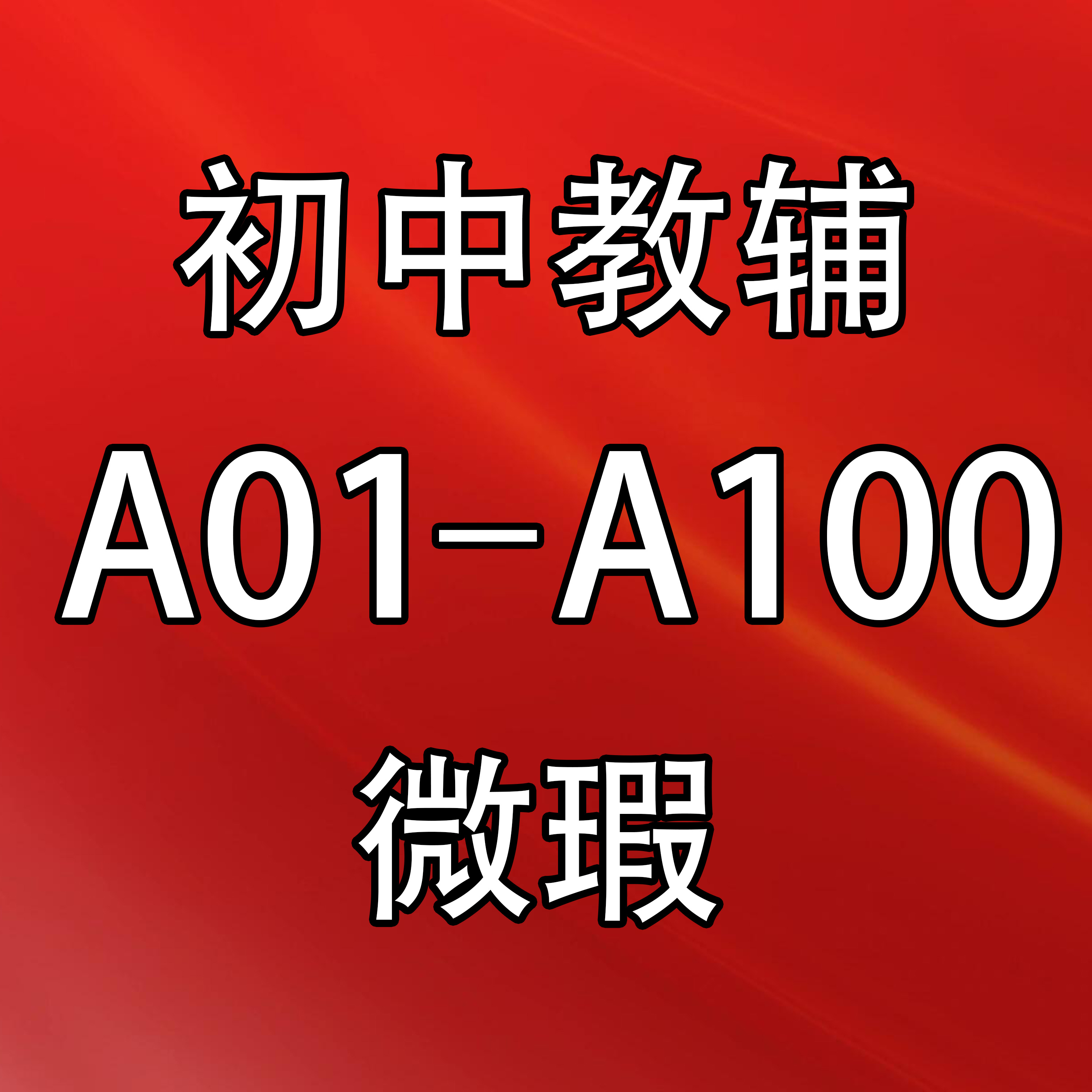 【微瑕】捡漏专用/初中教辅库存书捡漏A01-A100