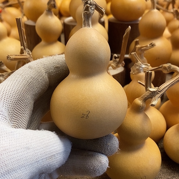 文玩葫芦 完美主义者 慎拍28