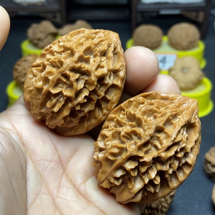 核桃绝***家招财鼠888