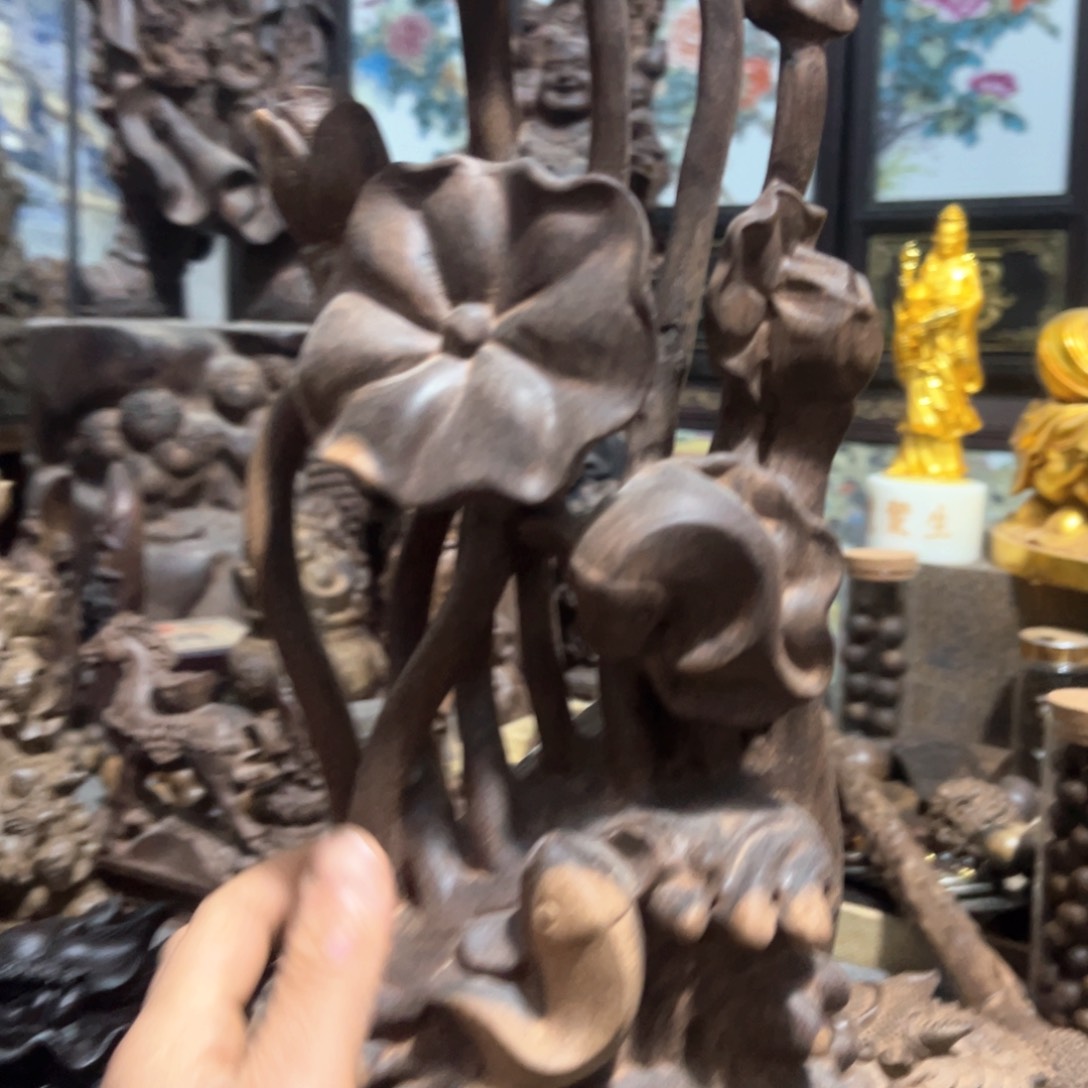 木来，欢迎老师们进入直播间