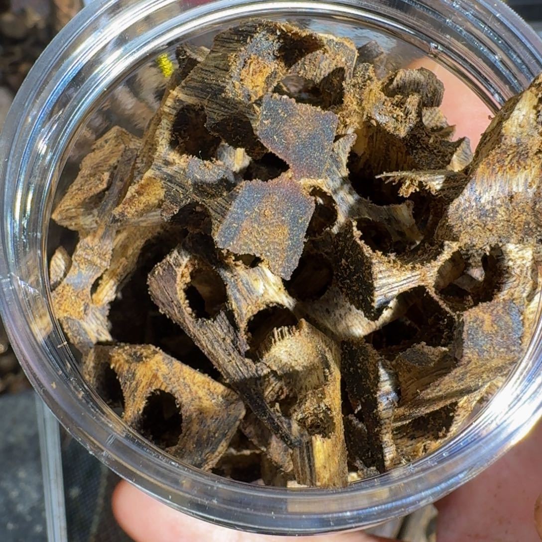 迟***哥沉香枕沉香海南乌身老料40克料子