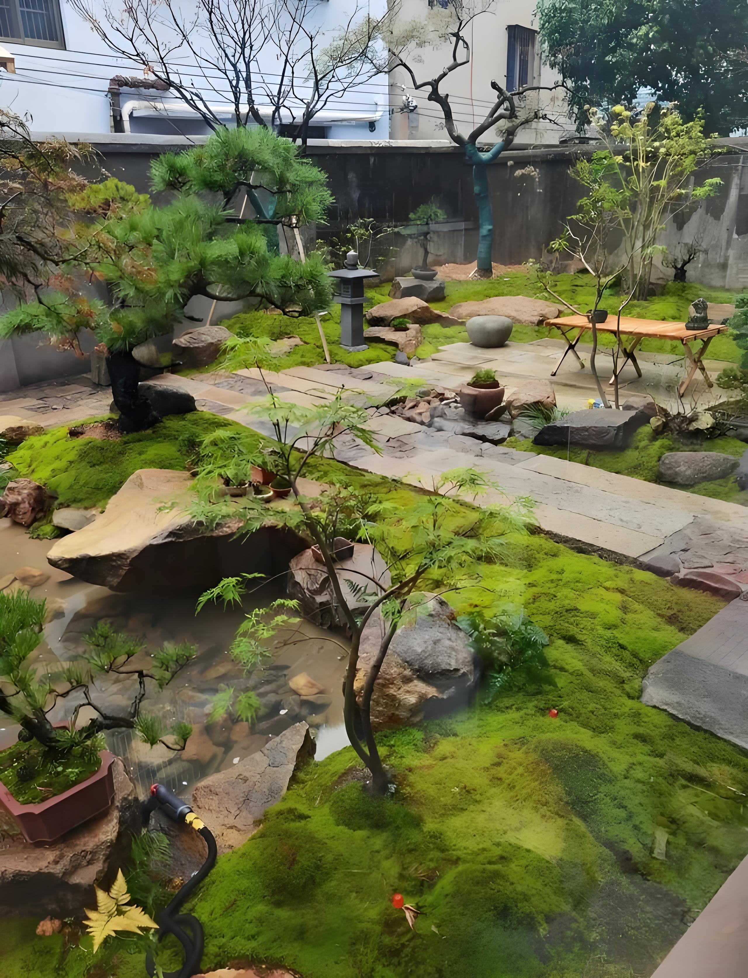 一物一拍 苔藓基地直发白发藓大灰藓短绒砂藓星星藓苔藓微景观