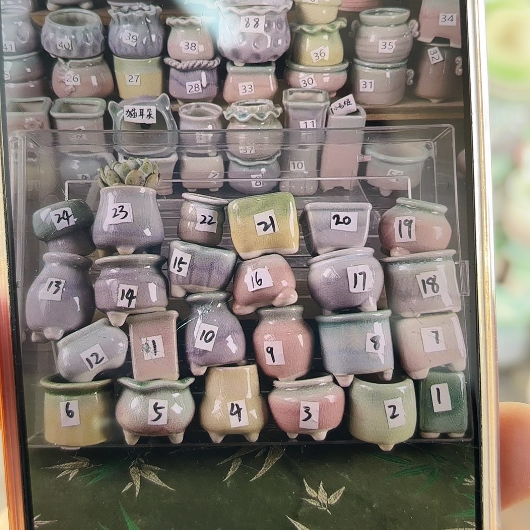 量货/2.5-4口高深浅搭配发12