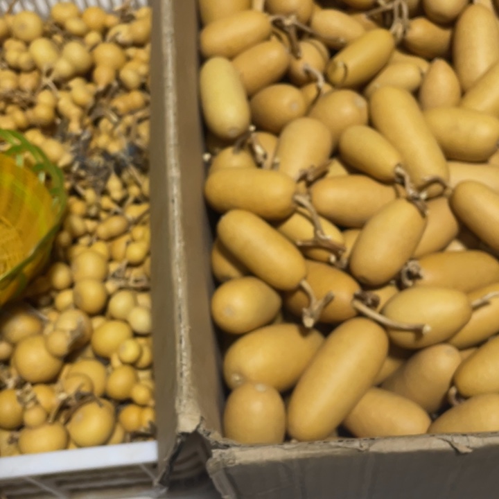 小***瓶哈哈哈哈哈哈哈哈哈葫芦