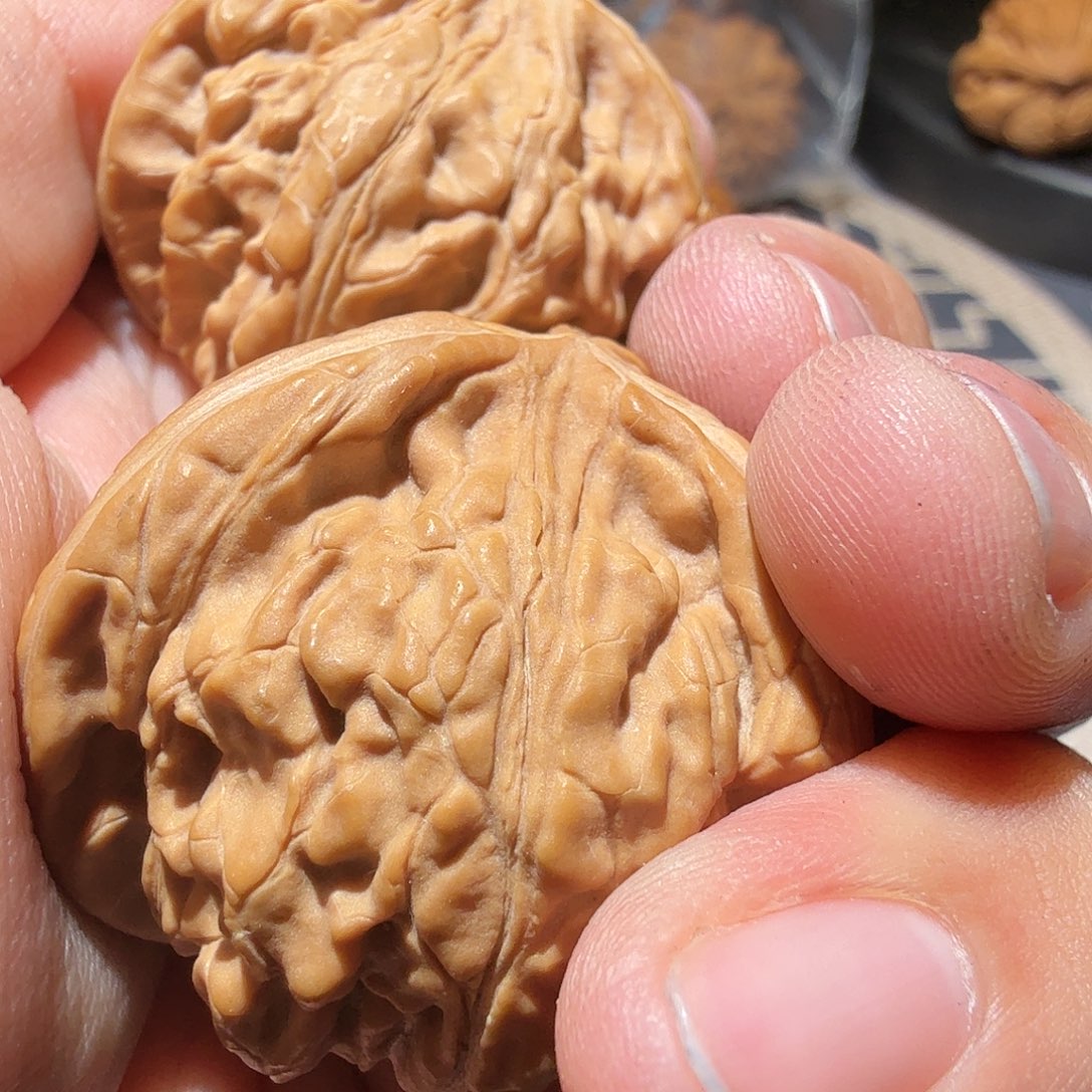 文玩核桃把件御龙