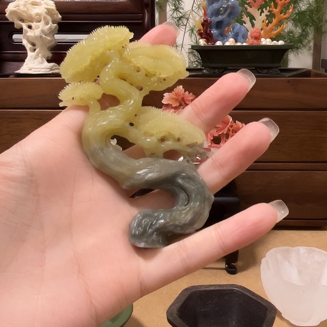 时***雨印石昌化石松树一个