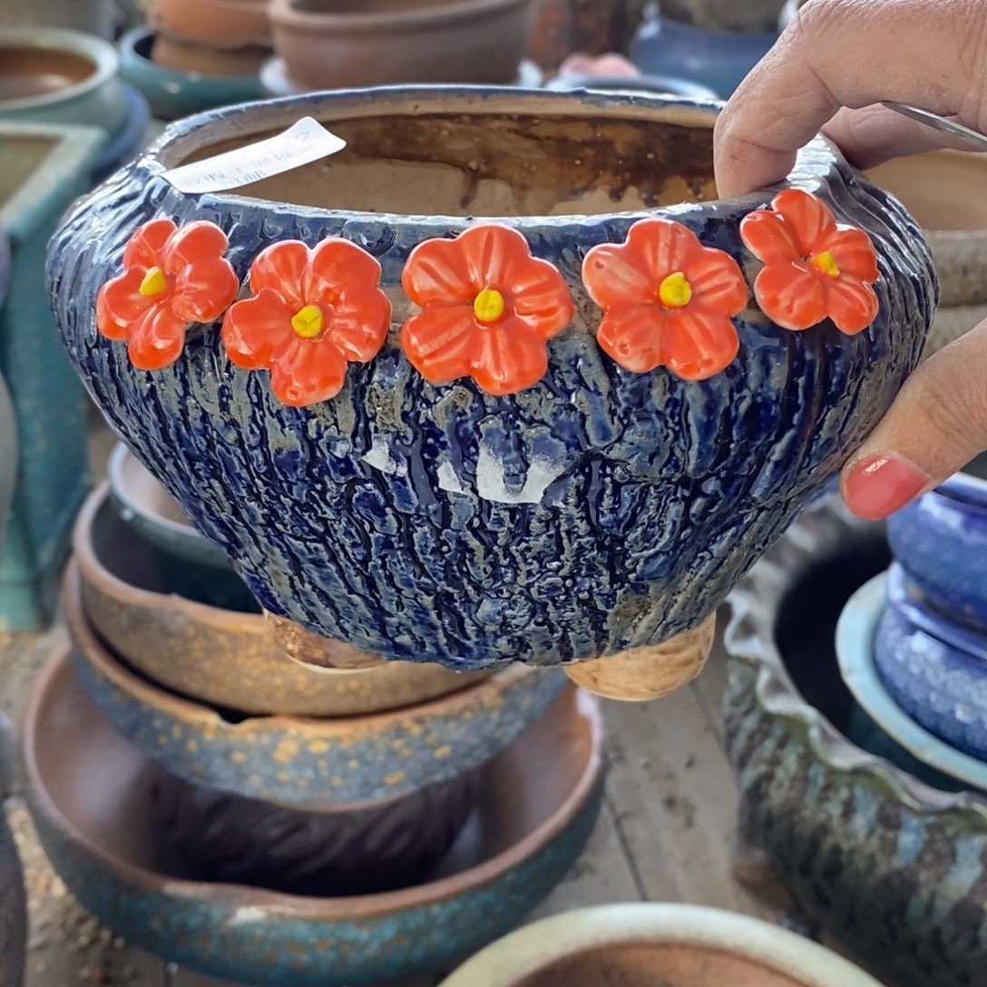 122号多肉盆口径12