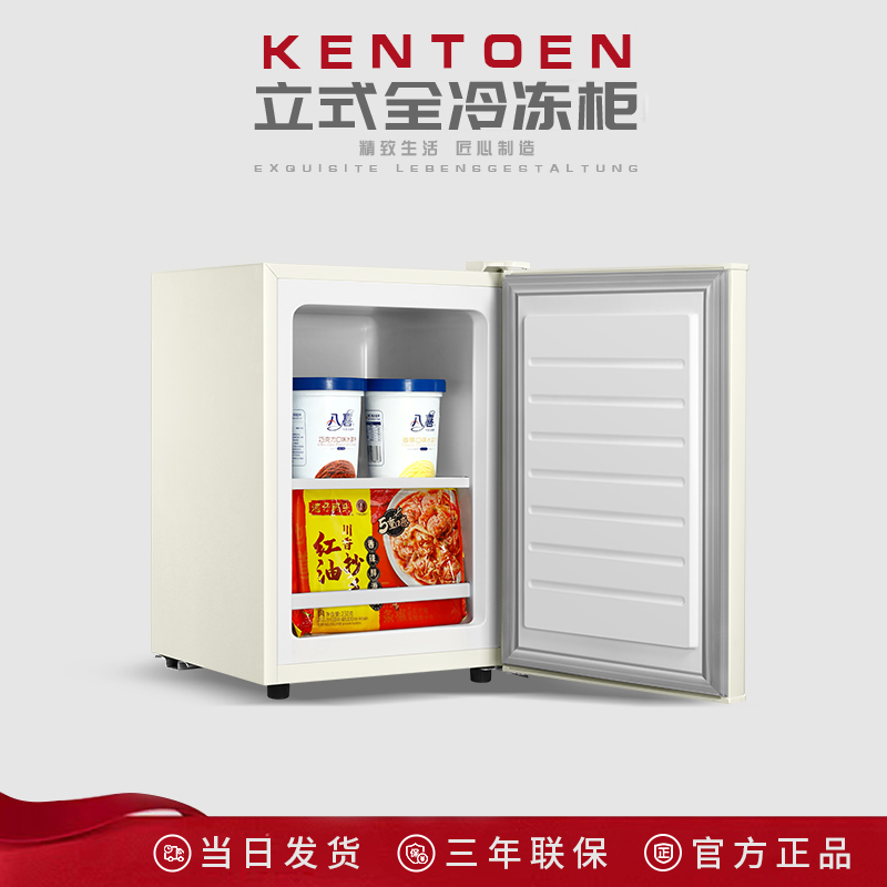 69-189l全冷冻立式家用租房单开门冰柜