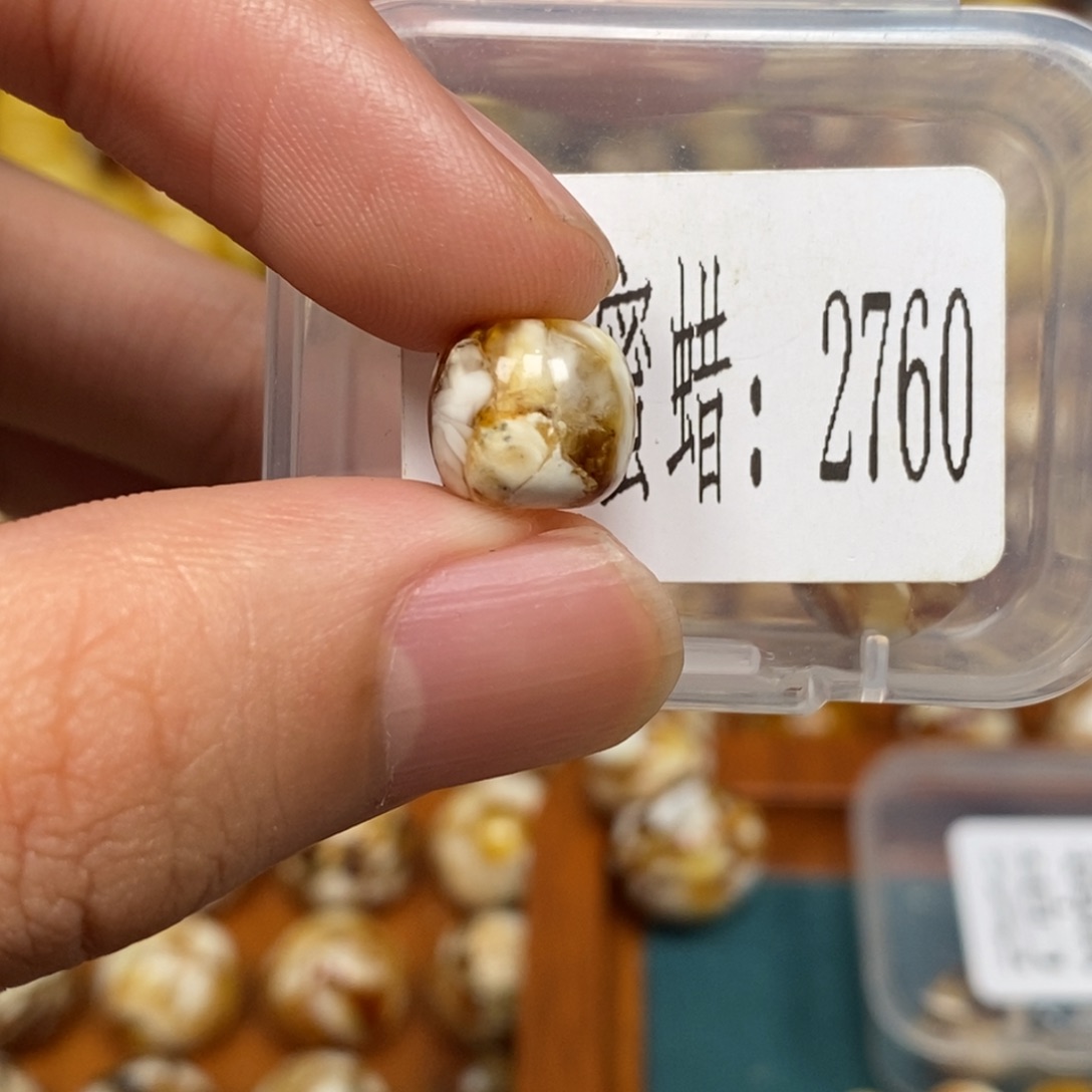 沁色蜜蜡未镶嵌2760