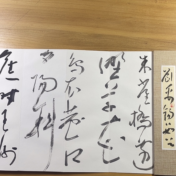 书法中书协会员作品