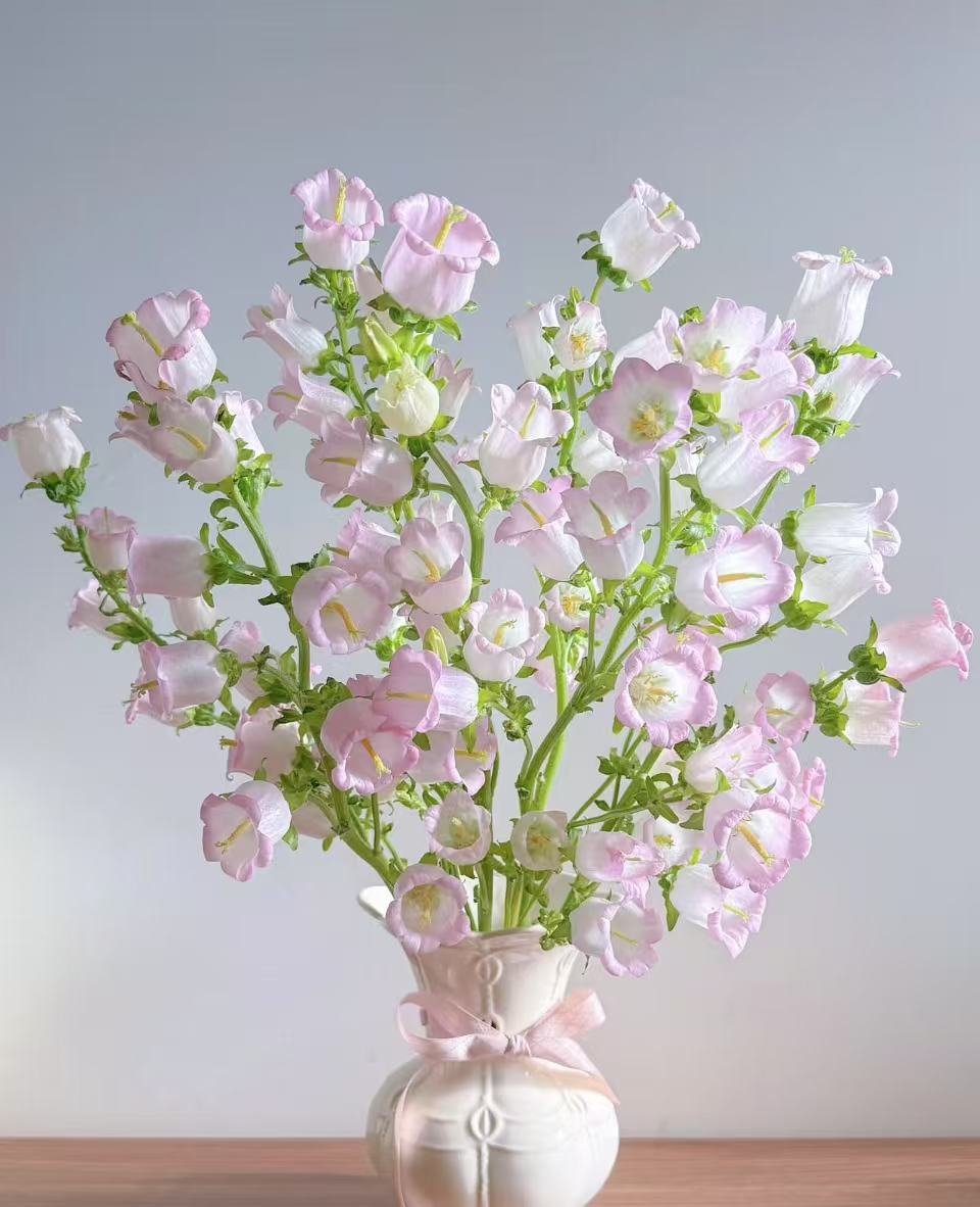 【葡璞花舍】粉色风铃 1扎  小清新风格 超易养活风铃花  基地直发