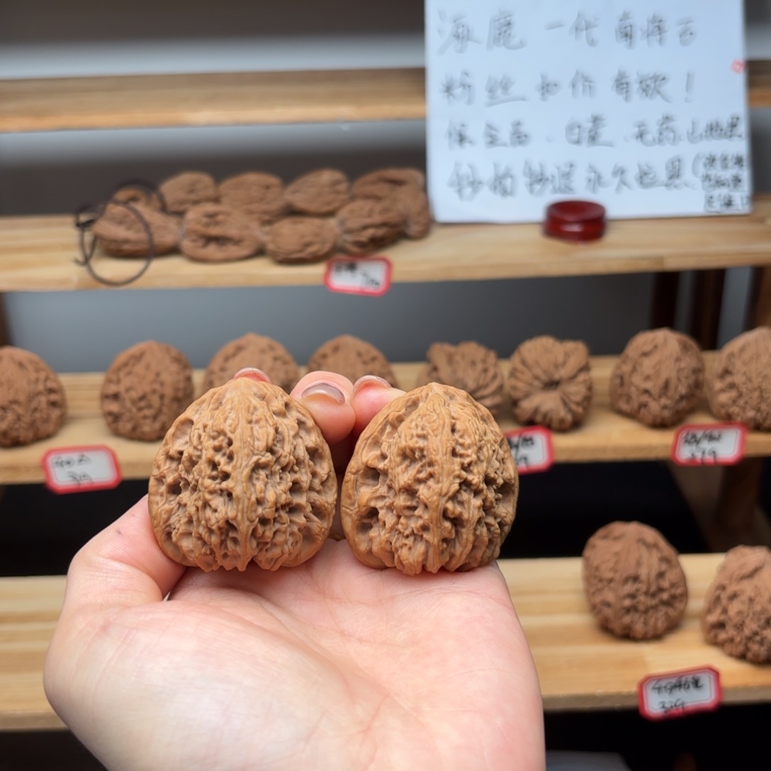 南***丸核桃涿鹿一代南疆40
