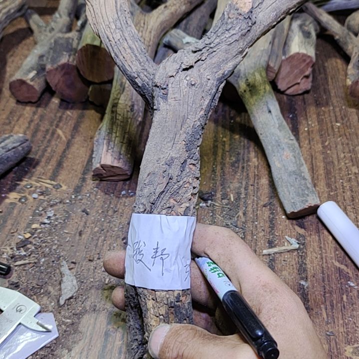 J***邦火琉璃原杈不保沉水慎拍！