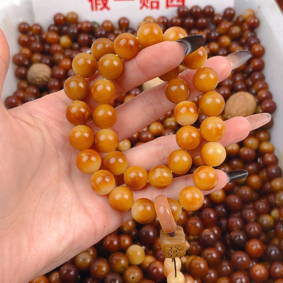 吊坠菩提根/象牙果中间色栗子发字s手持