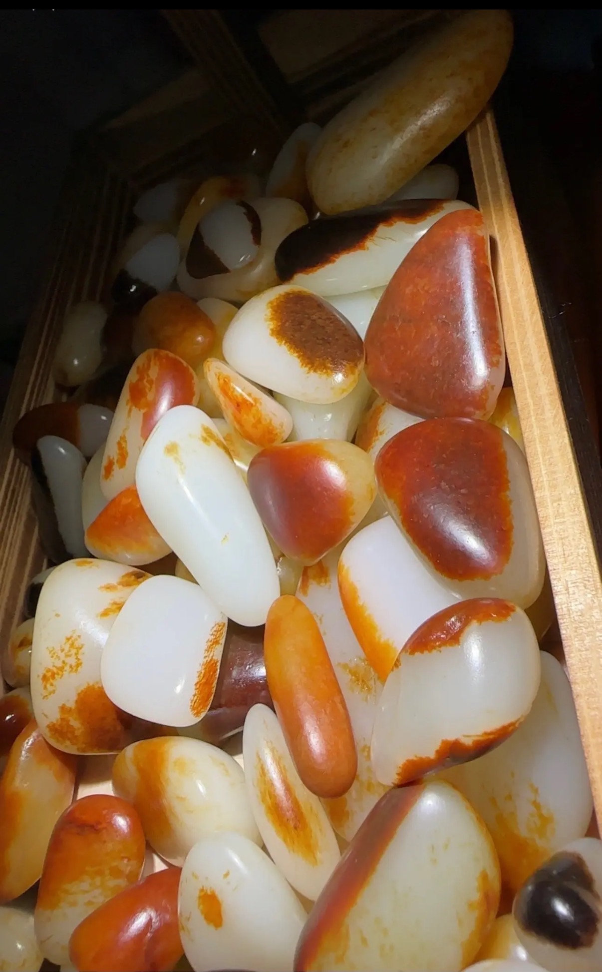 新疆戈壁奇石小籽01