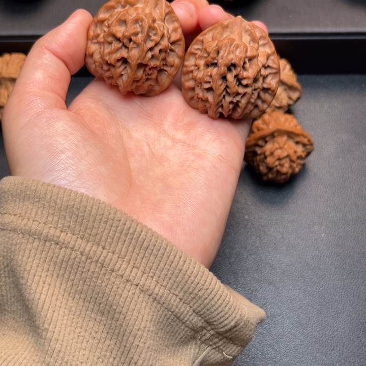 此***海核桃38一代秦闷狮子头不退不换