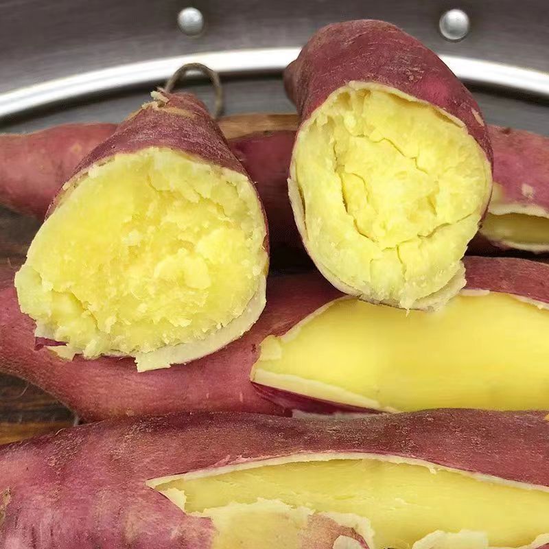 【粉糯香甜】板栗红薯新鲜现挖粉糯甘甜正宗蜜薯5-9斤包邮