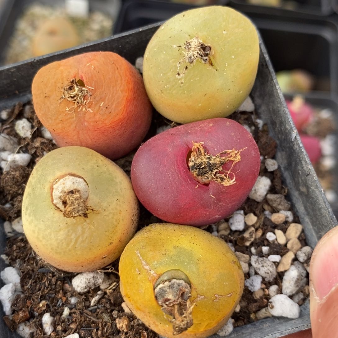 9113一组一组一组