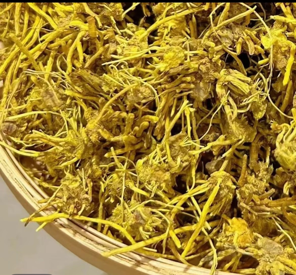 龙腾专属-龙须石斛