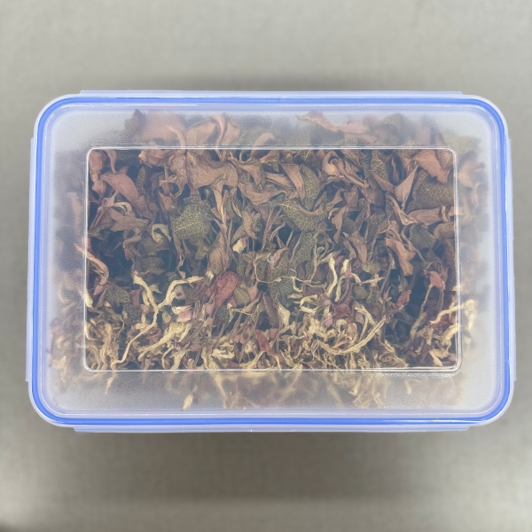 【表嫂】精品金线莲福建本地红霞整株滋补汤料