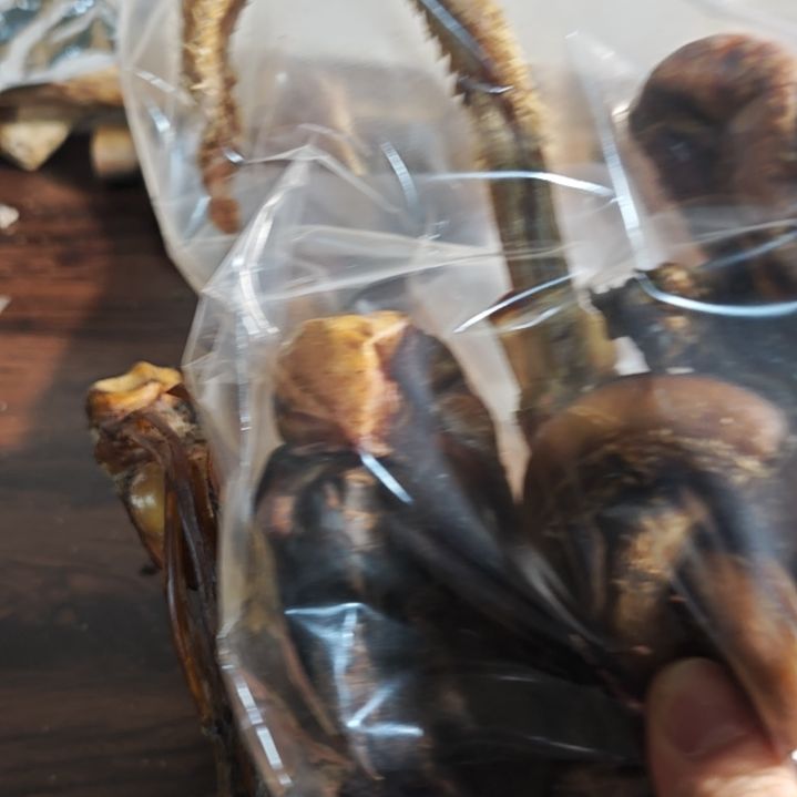 LJ大炮大炮大炮大炮大炮大炮大炮大炮