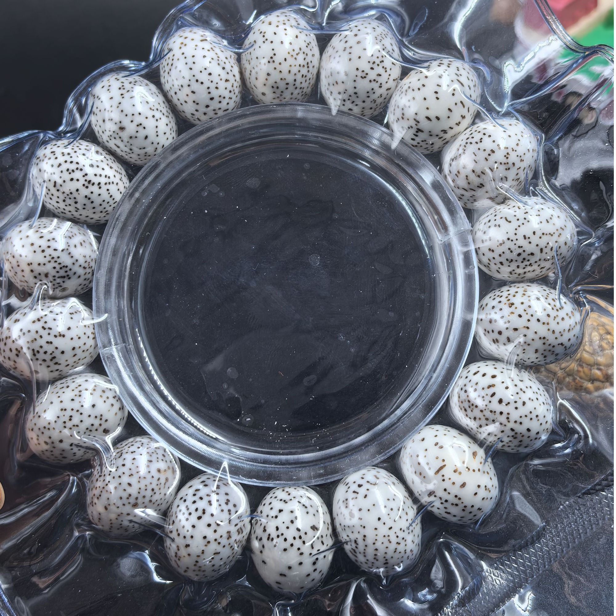 海南原生态星月菩提手串卡16平果珠