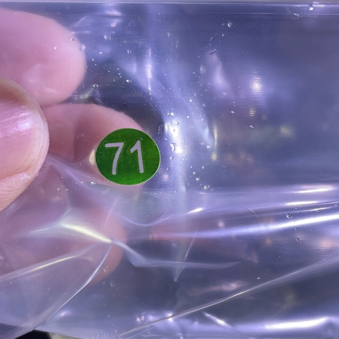 冠***恒颈饰发晶未镶嵌水晶