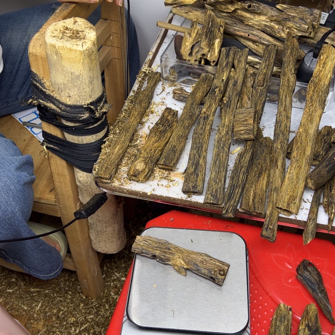 线香奇楠虫漏香26克