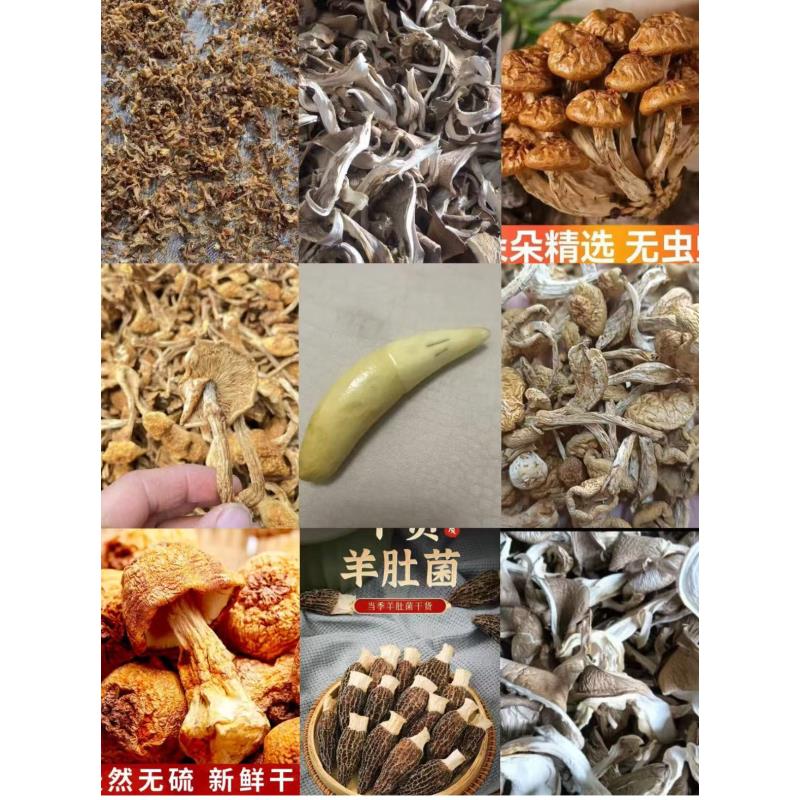 FD37- 【芽】高端品质   香菇菌子   现收山货