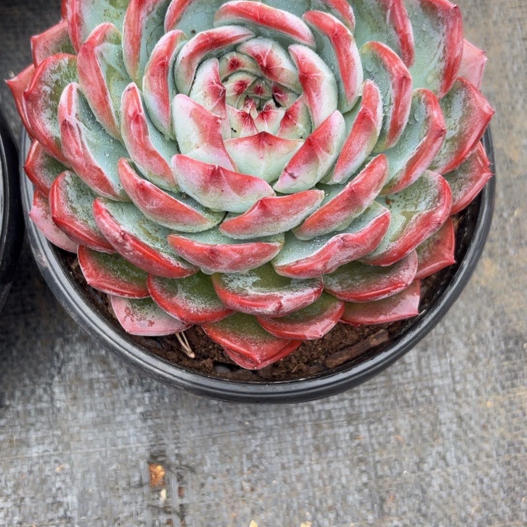 晨***肉哈哈不好好吧宝贝宝贝v宝贝宝贝宝贝吧