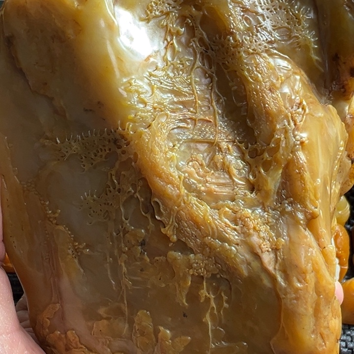 昌化石R****平浙江昌化田一个